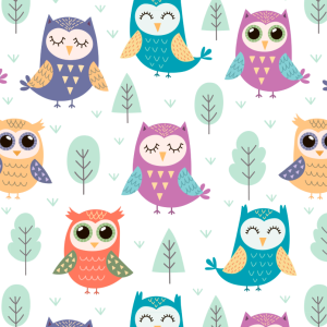 Fun Owls With Books Patterns