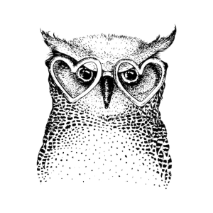 Owl Illustration: Black & Colorful