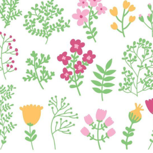 50+ Leaves Floral Handmade Cliparts
