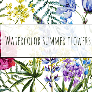 Long Summer Flowers - watercolor set
