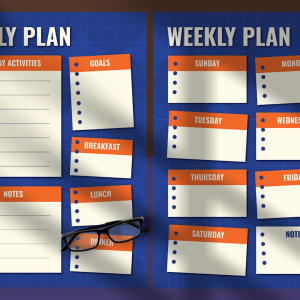 Utilitarian Planner Set With Bold Blue And Orange